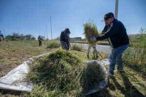 Presenta El Marqués, Mega Jornada de Limpieza Comunitaria.