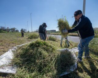 Presenta El Marqués, Mega Jornada de Limpieza Comunitaria.
