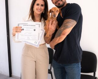 Municipio de Querétaro impulsa resultados en bienestar y protección animal