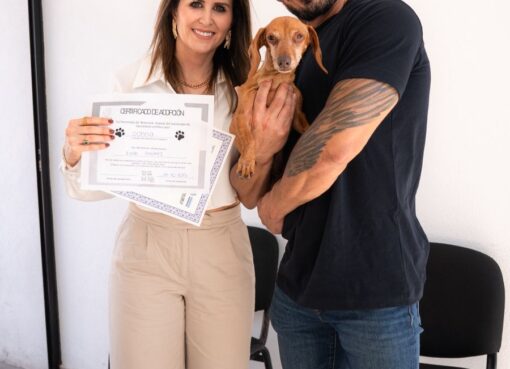 Municipio de Querétaro impulsa resultados en bienestar y protección animal