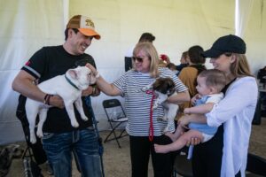 Municipio de El Marqués realizará 10 mil esterilizaciones gratuitas para perros y gatos.