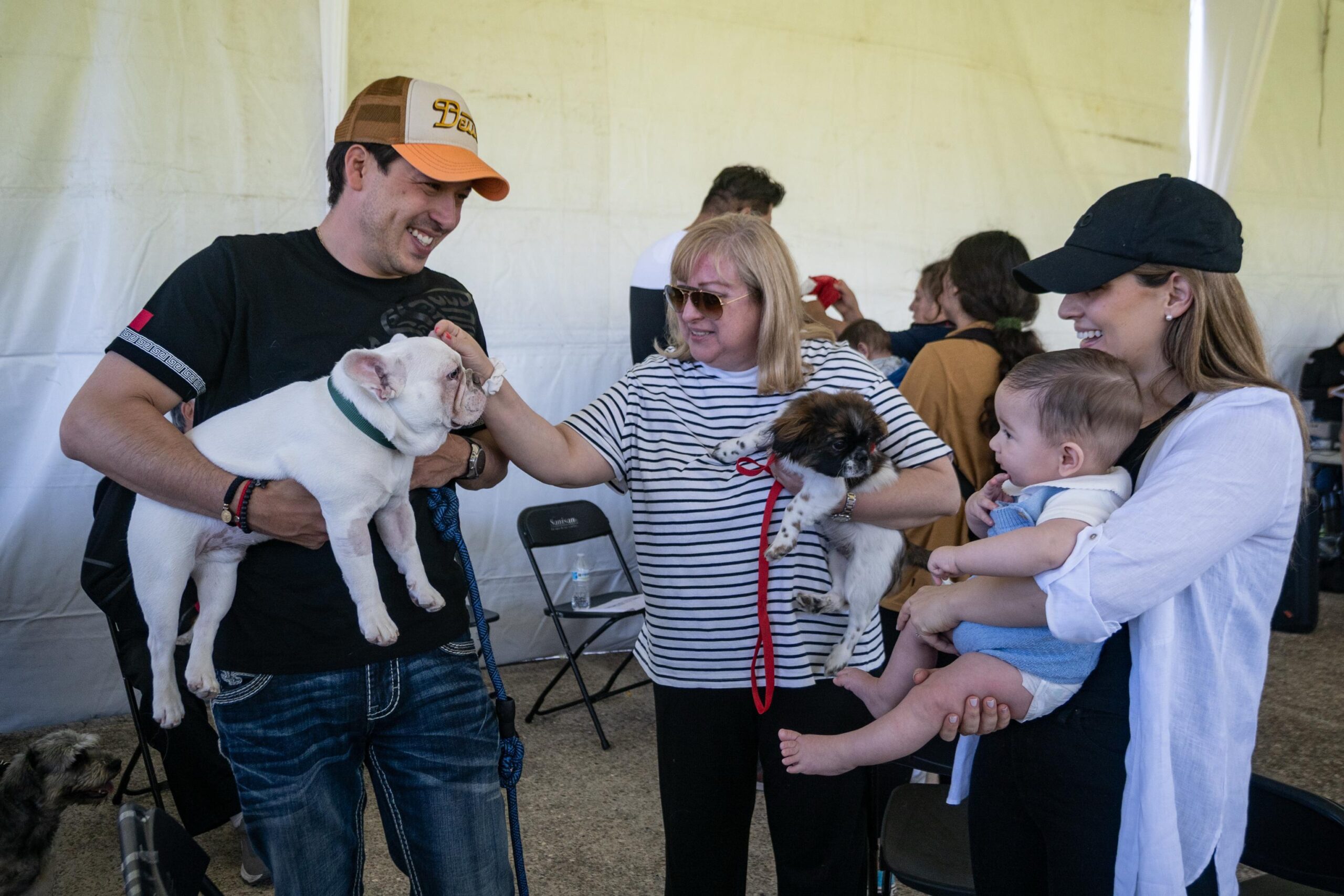 Municipio de El Marqués realizará 10 mil esterilizaciones gratuitas para perros y gatos.