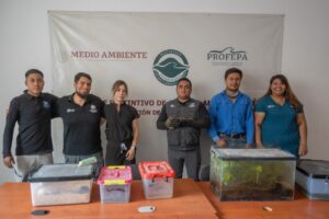 IMPA, El Marqués; Asegura Especies Exóticas y Endémicas de Querétaro