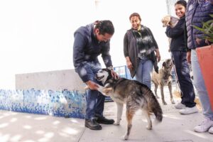 Corregidora arranca la segunda etapa de la campaña gratuita “Esteriliza y Protege”