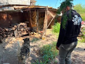 Atiende IMPA reporte por posible maltrato animal en la comunidad de La Providencia, El Marqués.